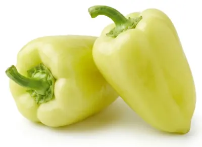 Paprika bílá