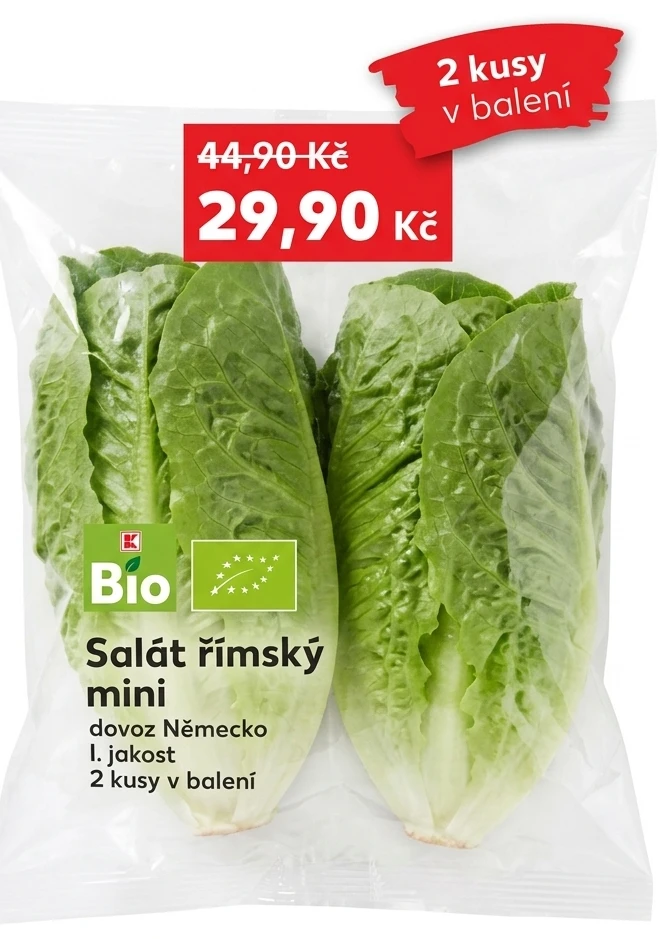 Salát římský mini Bio
