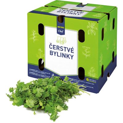 METRO Chef Koriandr čerstvý 1 kg