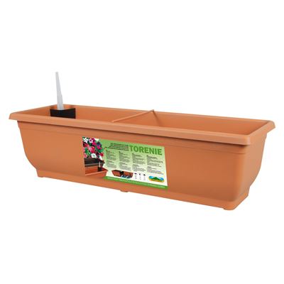 NOHEL-GARDEN Truhlík samozavlažovací Torenie 60 cm 1 ks