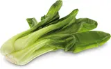 Salát Pak Choi