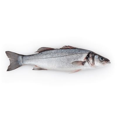METRO Chef Mořský vlk kuchaný chlaz. váž. cca 250 - 330 g
