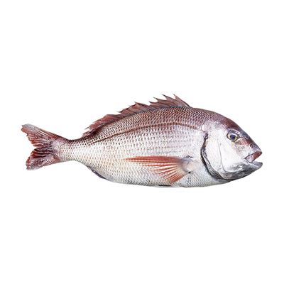 METRO Chef Pražma kuchaná chlaz. váž. cca 500 - 670 g