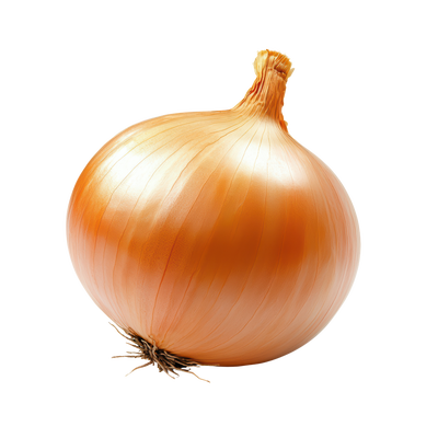 Cibule žlutá, 1 ks