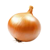 Cibule žlutá, 1 ks