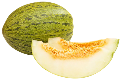 Meloun Piel De Sapo, 1 ks
