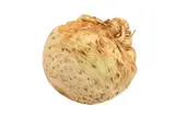 Celer bulvový praný, 1ks