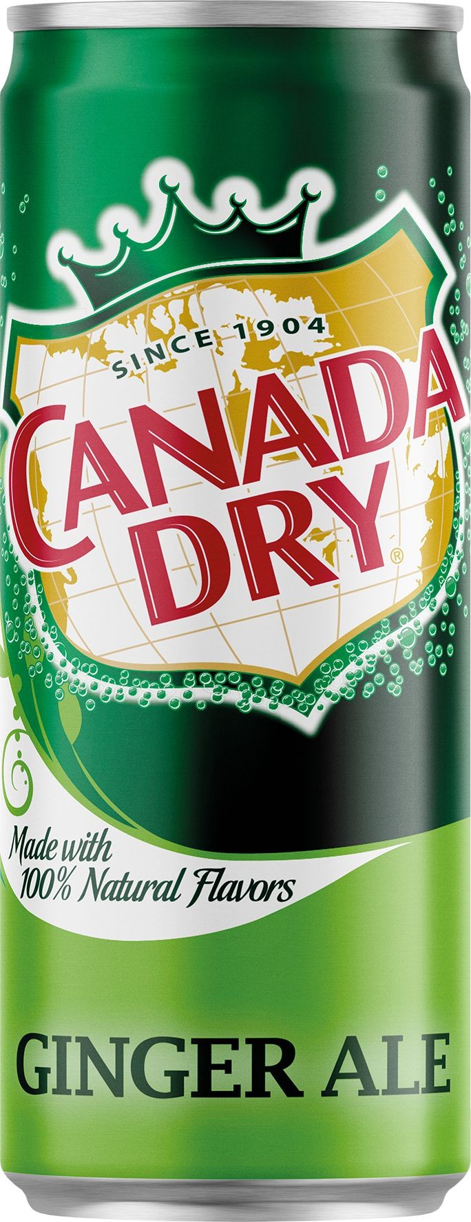 Canada Dry 0,33l CAN Sleek