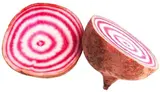Řepa barevná Chioggia