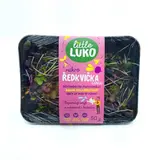 Little Luko Výhonky Ředkvička fialová čerstvé