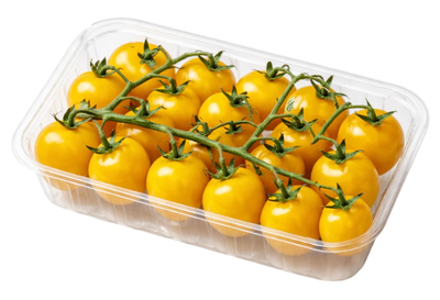 Rajčata Cherry žlutá keříková, vanička