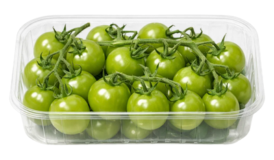 Rajčata Cherry zelená keříková, vanička