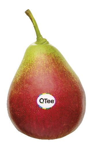 Hrušky Q Tee