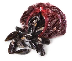 Slávka jedlá chov na lanech chlaz. váž. 1 kg síťka
