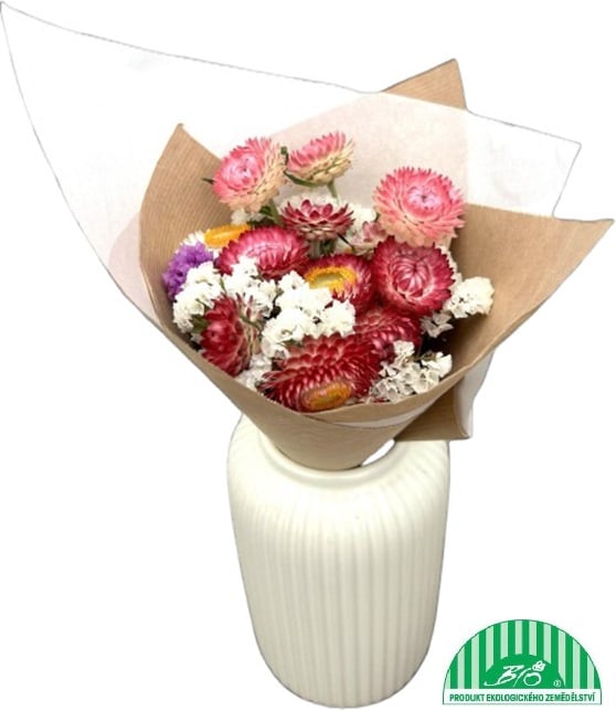 Vitenplant BIO Slaměnky "Candy mix"
