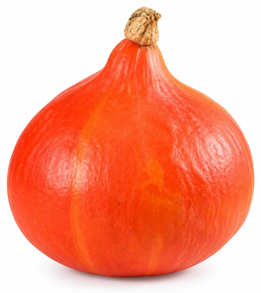Dýně hokkaido