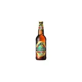 RADEGAST Ryze hořká 12° 2 x 330 ml vratná láhev