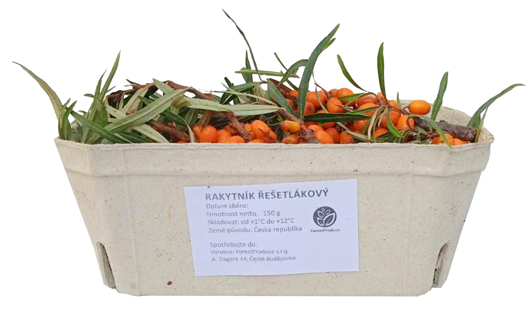 Rakytník čerstvý řešetlákový, vanička