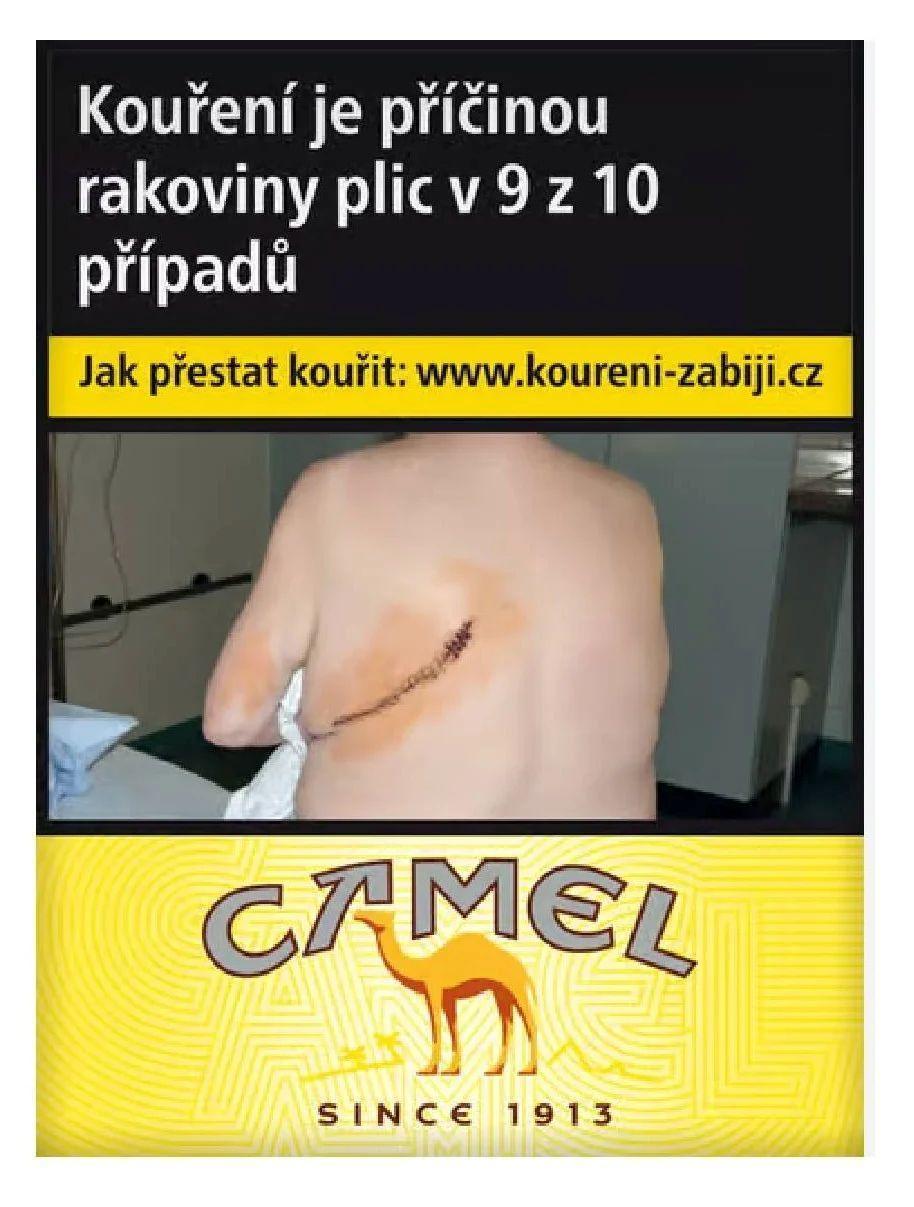 Camel Yellow Shorts