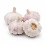 Farma Hana Součková Česnek