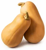 Dýně máslová