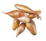 Cibule šalotka banánová 250 g