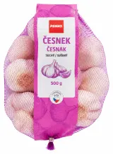 Česnek