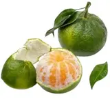 Sicilské mandarinky s lístky BEZ chemického ošetření odr. Satsumas, volně