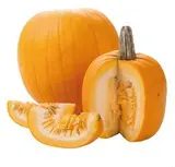 Dýně Halloween CZ čerstvá váž. cca 1,2 kg+