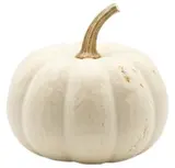 Dýně bílá halloweenská