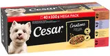 Cesar Selection v omáčce 40pack pro psy