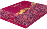 Biogena Traditional Tea Maxi (6x10ks)