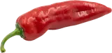 Čerstvě utrženo Paprika Palermo (zn. Pepina) nestandard