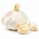 Český česnek