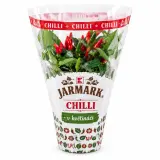 JARMARK Chilli v květináči