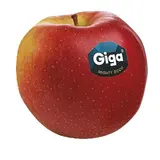 Jablka Giga