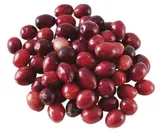 Brusnice (Klikva Velkoplodá) 250 g