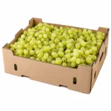 Hrozno bílé bezsemenné čerstvé 5 kg