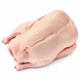 Husa