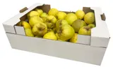 Bohemia Apple Golden Golden delicious jablka nestandard, bedýnka